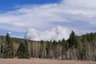 9780 Davona Dr, San Ramon, CA