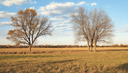 800 Alby St, Alton, IL