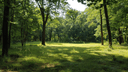 12 Fern Ave, Chatham, NJ
