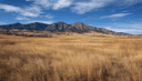 176 Timber Ln, Boulder, CO