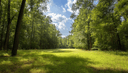 789 D Thomas Road, Ozark, AL