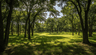 457 Travis St, Coppell (Dallas Co), TX