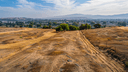 1510 California Ave, Palo Alto, CA