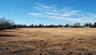 7000 Calvin Dr, Citrus Heights, CA