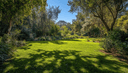 811 River Park Dr, San Jose, CA