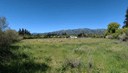 1045 California St, Mountain View, CA