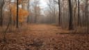 5533 Frame Rd, Newburgh, IN