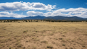 92 Cuatro Ruedas Dr, Carson, NM