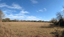 8110 Braes Meadow Dr, Houston, TX