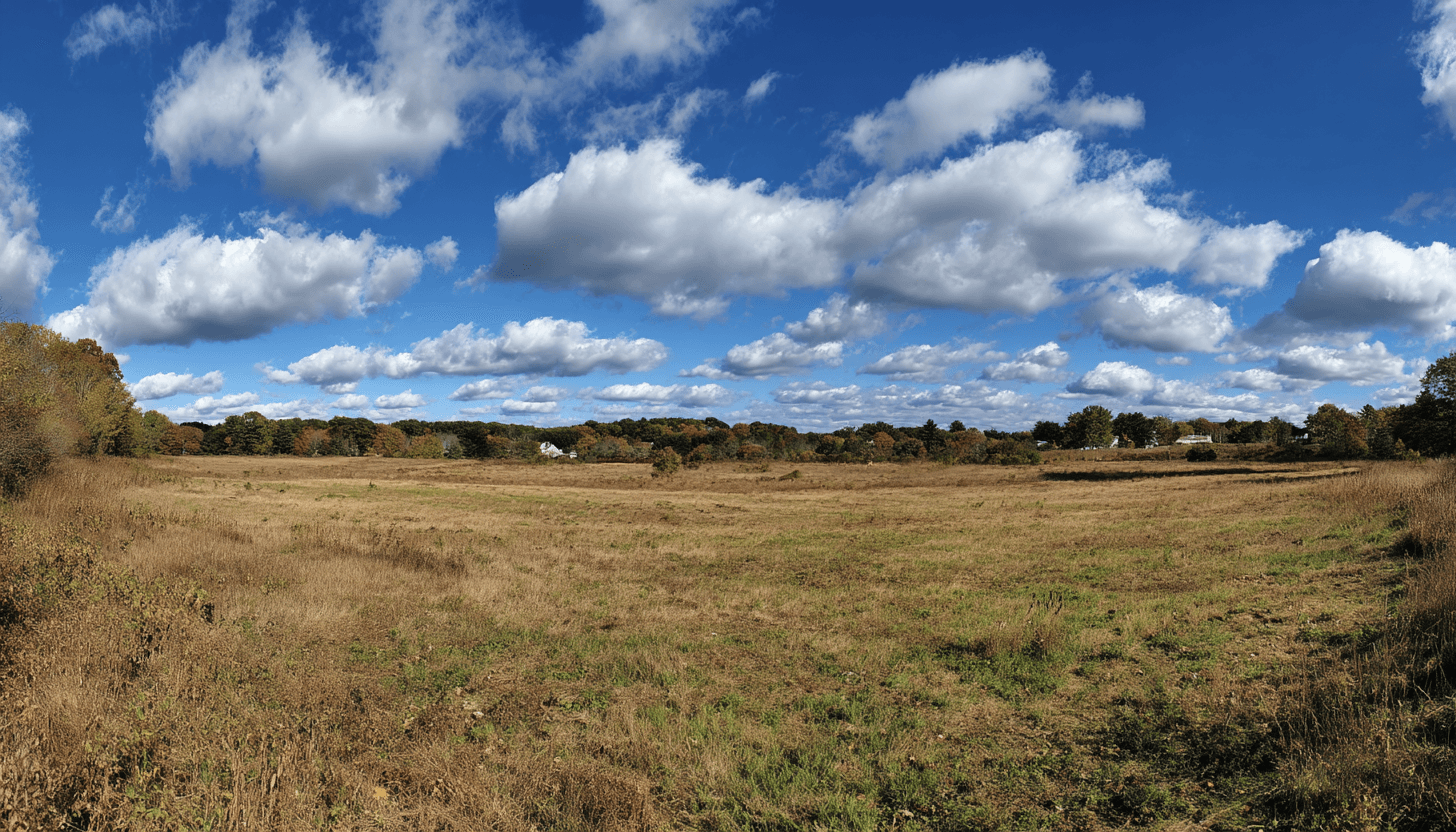 Illustrative Purpose - Not the Actual Property