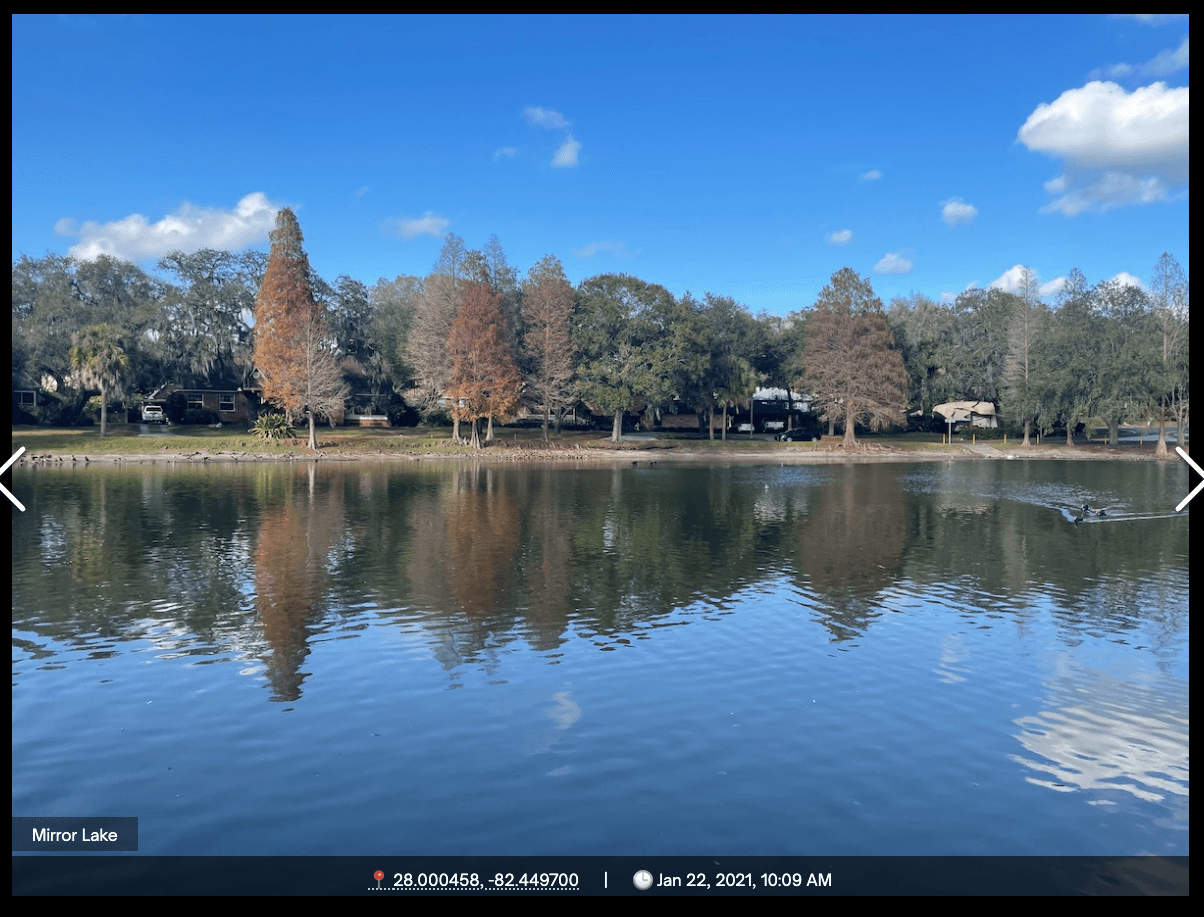 A perfect facsimile of nature 