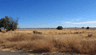 APN 014-280-023-000, Williams, CA
