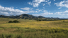 247 Alpine Dr, Nederland, CO