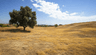 5554 Trinidad Way, San Diego, CA